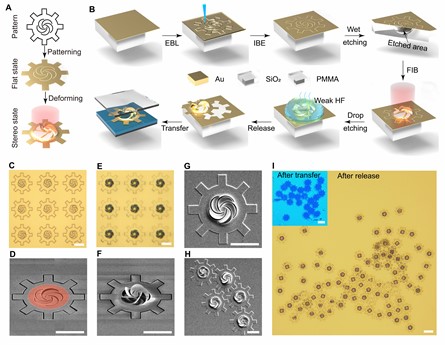 yy.vip易游-Semtech财报：喜忧参半的业绩与未来前景